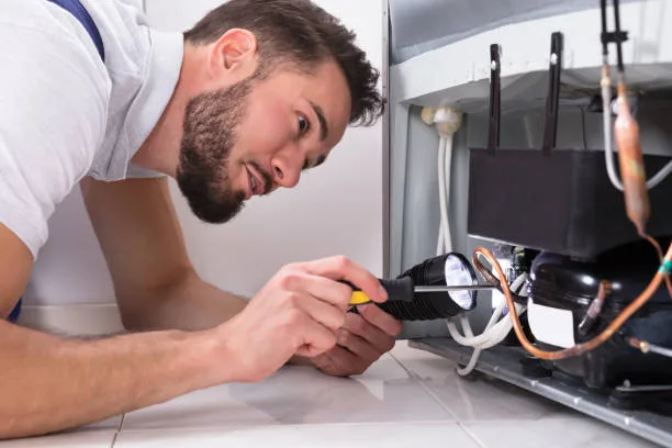 Refrigerator repair in Valencia